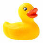 Copy of Rubber Duck